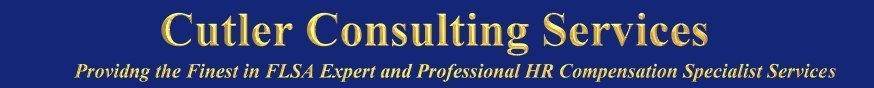 FLSA Expert Cutler Consulting Services L.L.C.